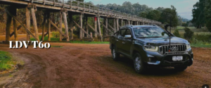LDV T60